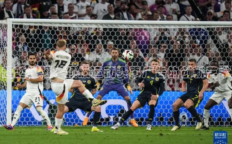 门徒娱乐在线登录