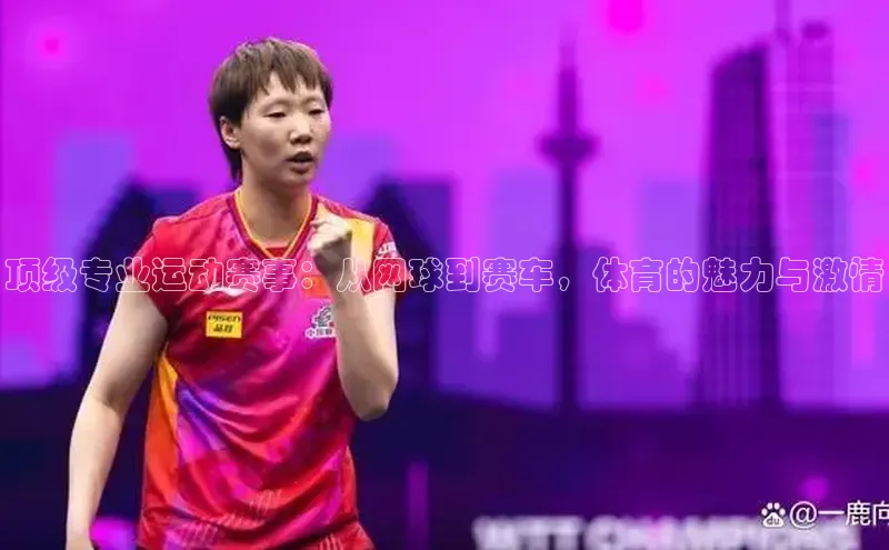 门徒平台登录地址